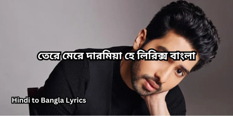 তেরে মেরে দারমিয়া হে লিরিক্স বাংলা